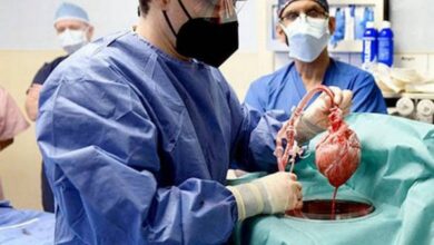 Pig heart transplantation to a human